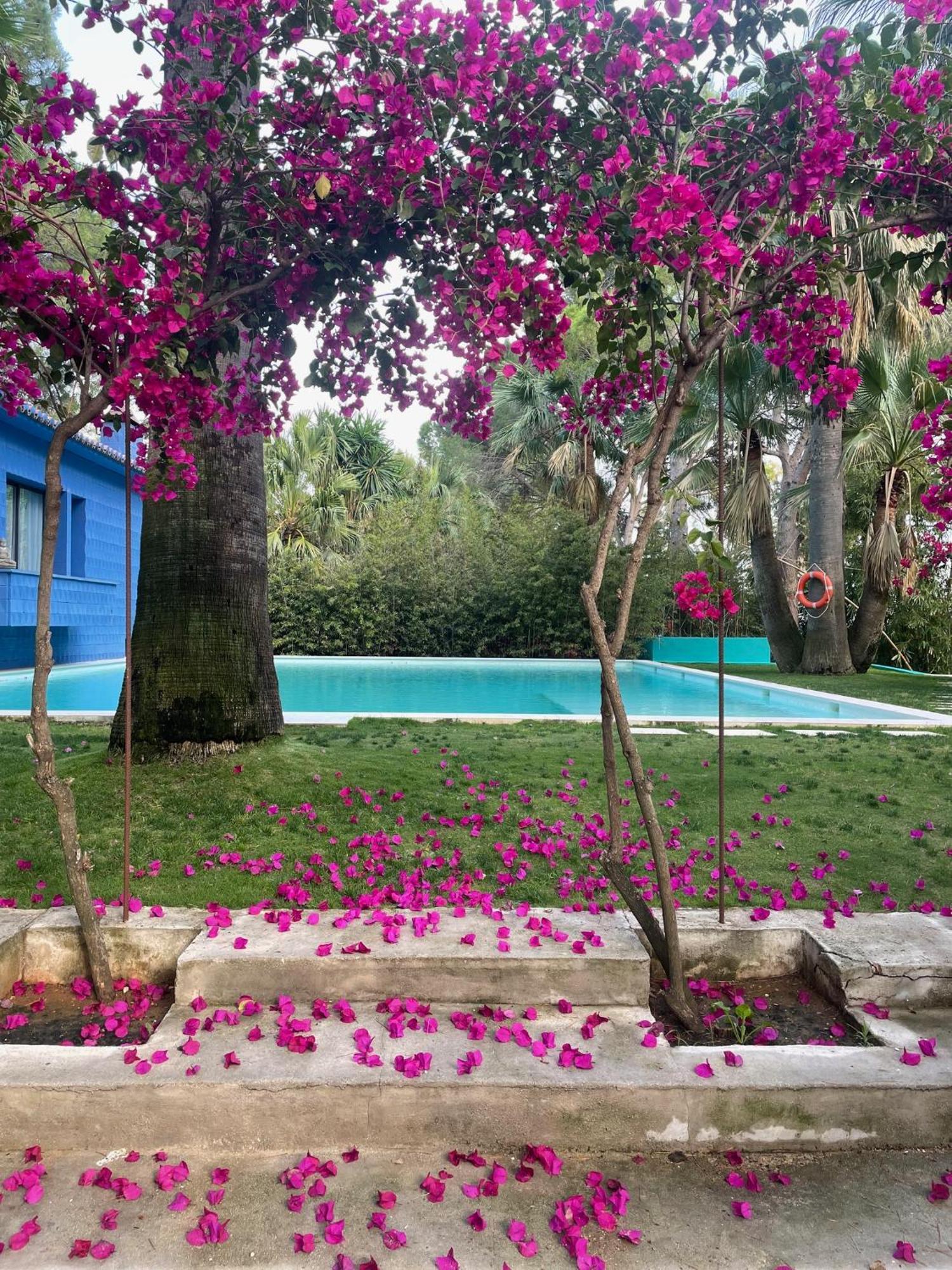 El Botanico De Sagra Hotel Екстериор снимка